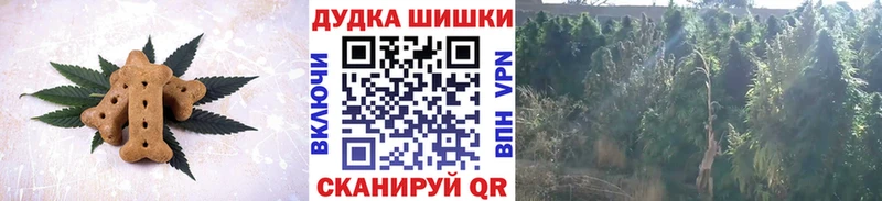 darknet Telegram  Дубовка  Печенье с ТГК конопля 