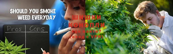 метадон Богданович