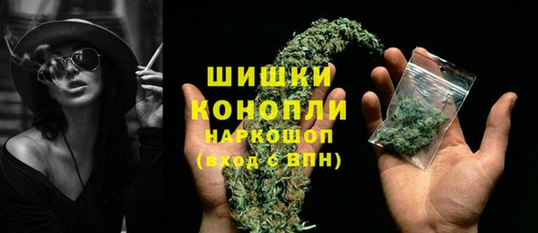 метадон Богданович
