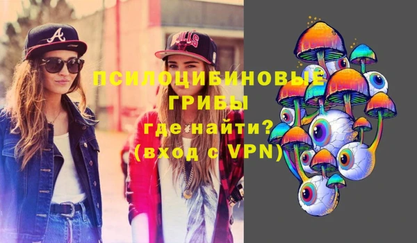 мескалин Богородицк