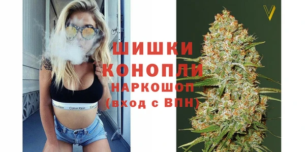 метадон Богданович