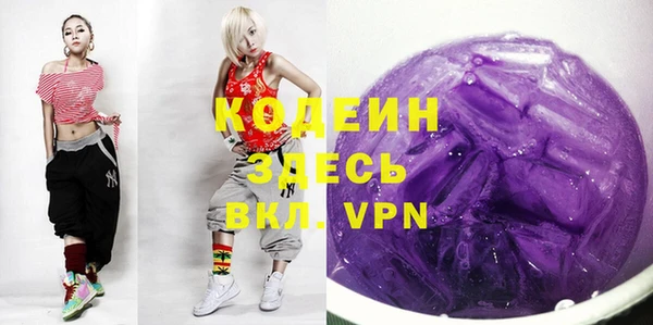 метадон Богданович